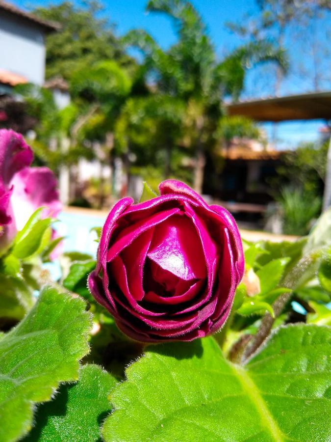 Jardim Secreto Guest House Armacao dos Buzios Exterior photo